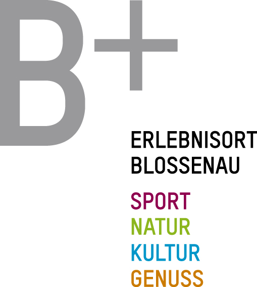 Logo_B+_RGB_310715_P