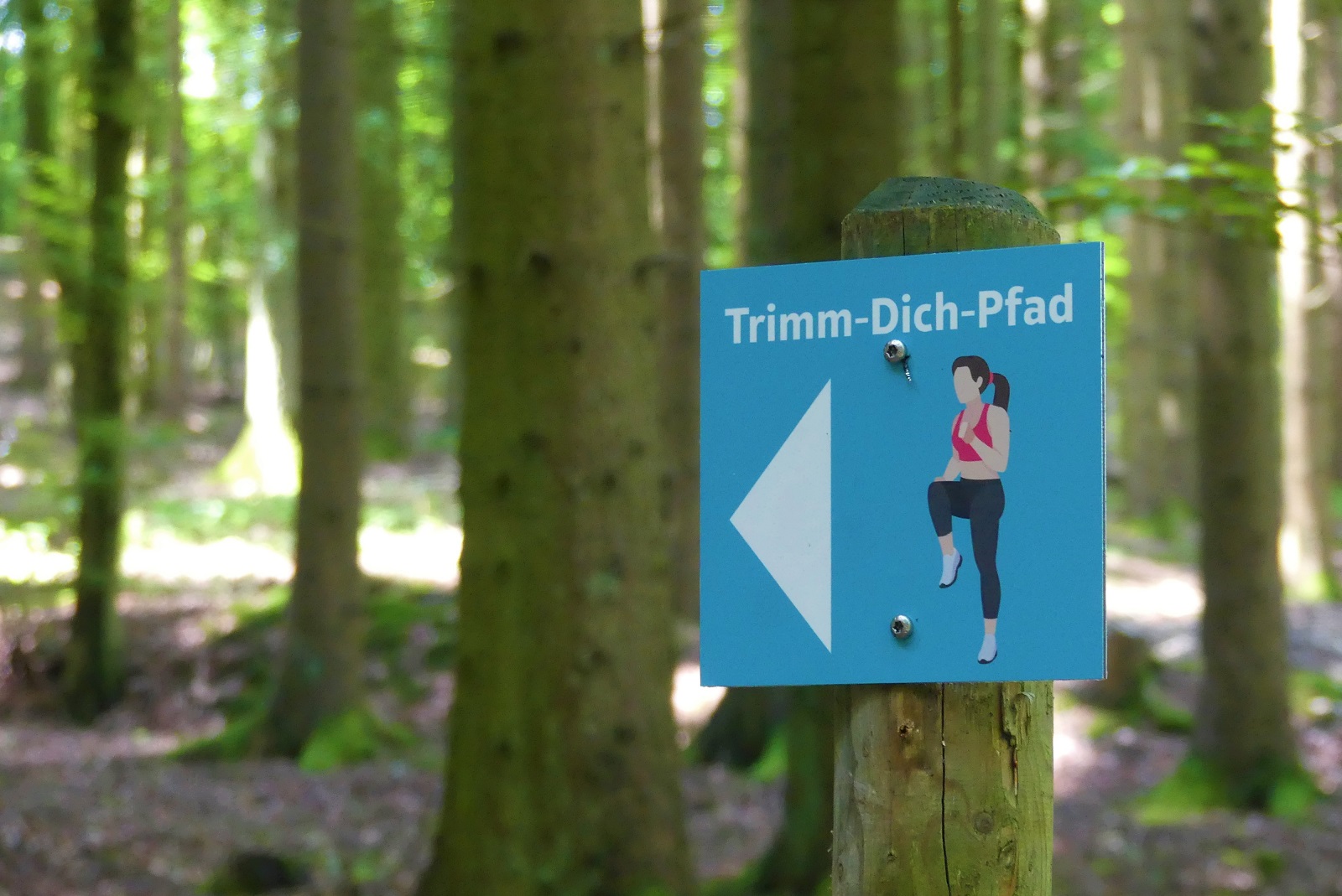 Die Beschilderung des Trimm-Dich-Pfades nahe dem Waldsee war in die Jahre gekommen. Die verblassten Schilder wurden nun durch die Tourist-Information Wemding überarbeitet und durch den städtischen Bauhof im Gelände ausgewechselt.