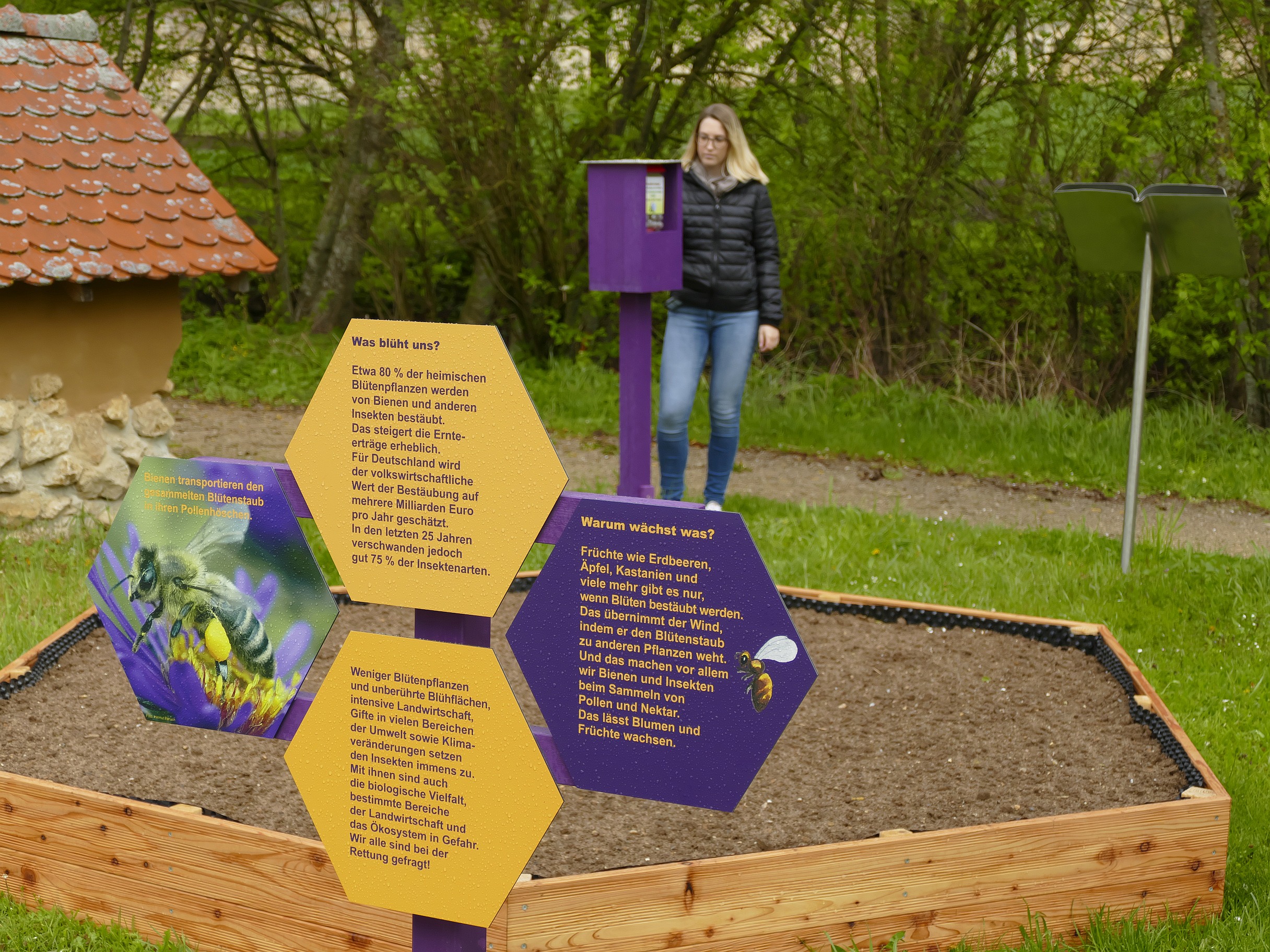 Das Bild zeigt Einblicke der neuen Outdoor-Attraktion.