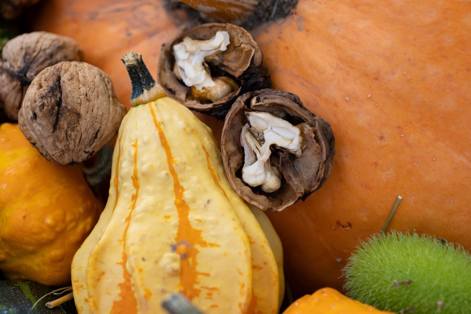Herbst