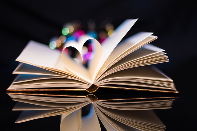 aufgeschlagenes Buch