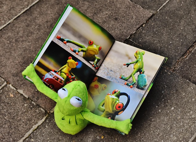 Kermit der Frosch schaut sich ein Bilderbuch an.