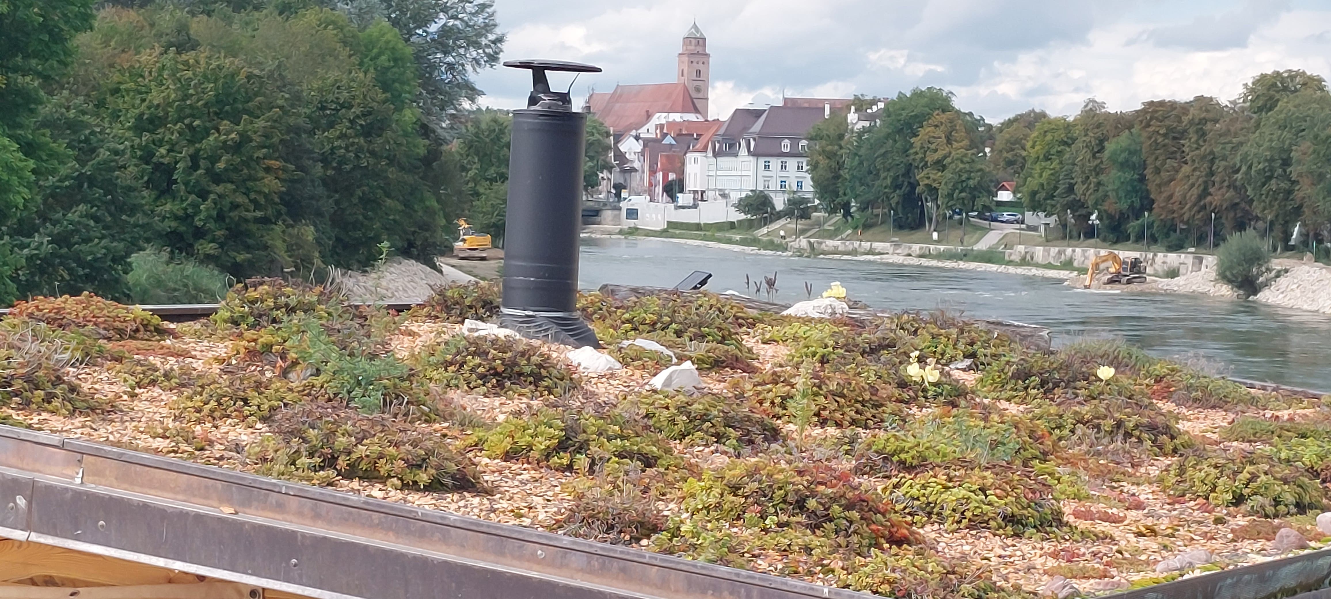 Dachbegrünung