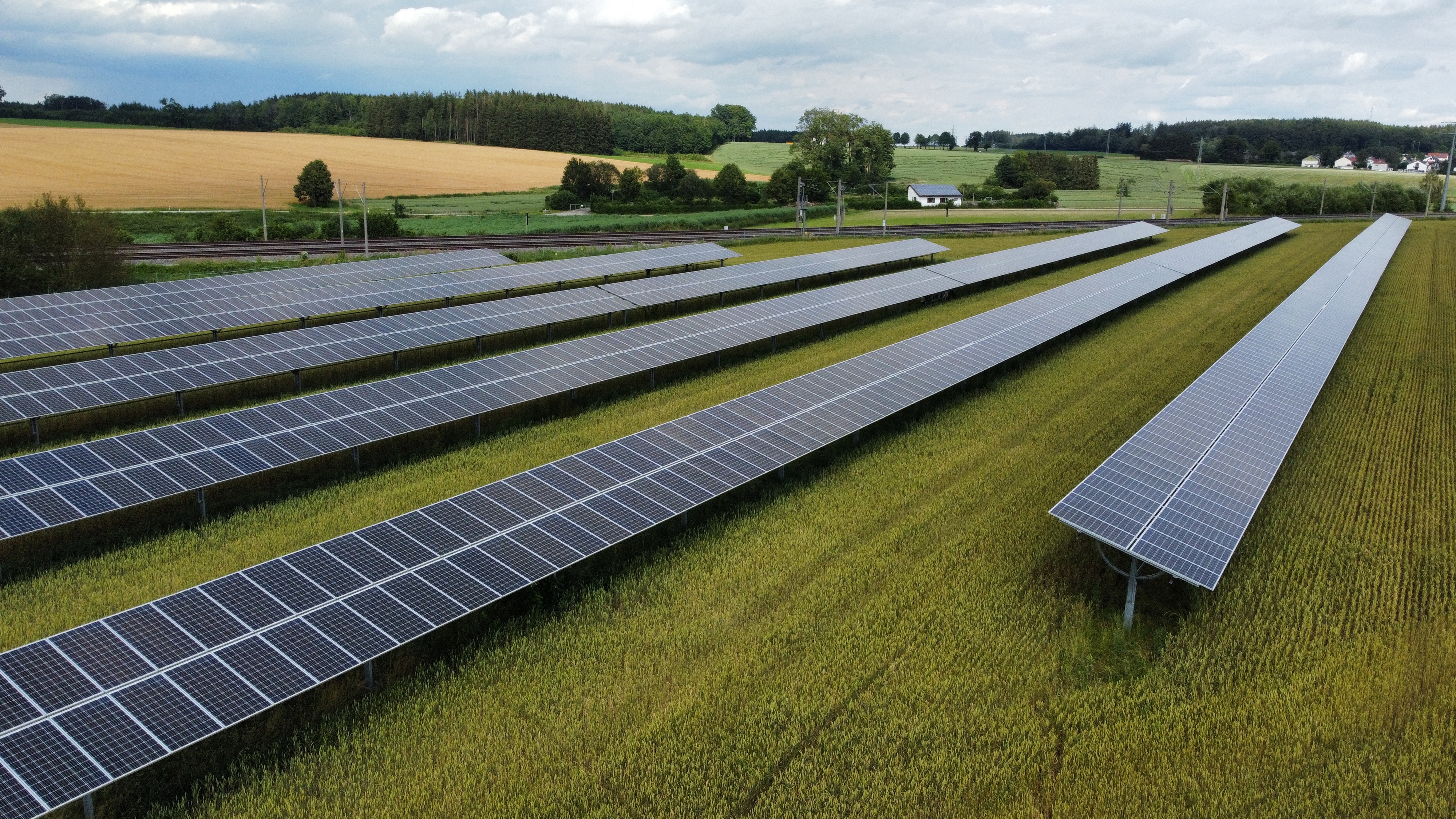 In Oberndorf soll eine hochmoderne Agri-PV-Anlage entstehen, ähnlich wie diese Anlage auf dem Bild.