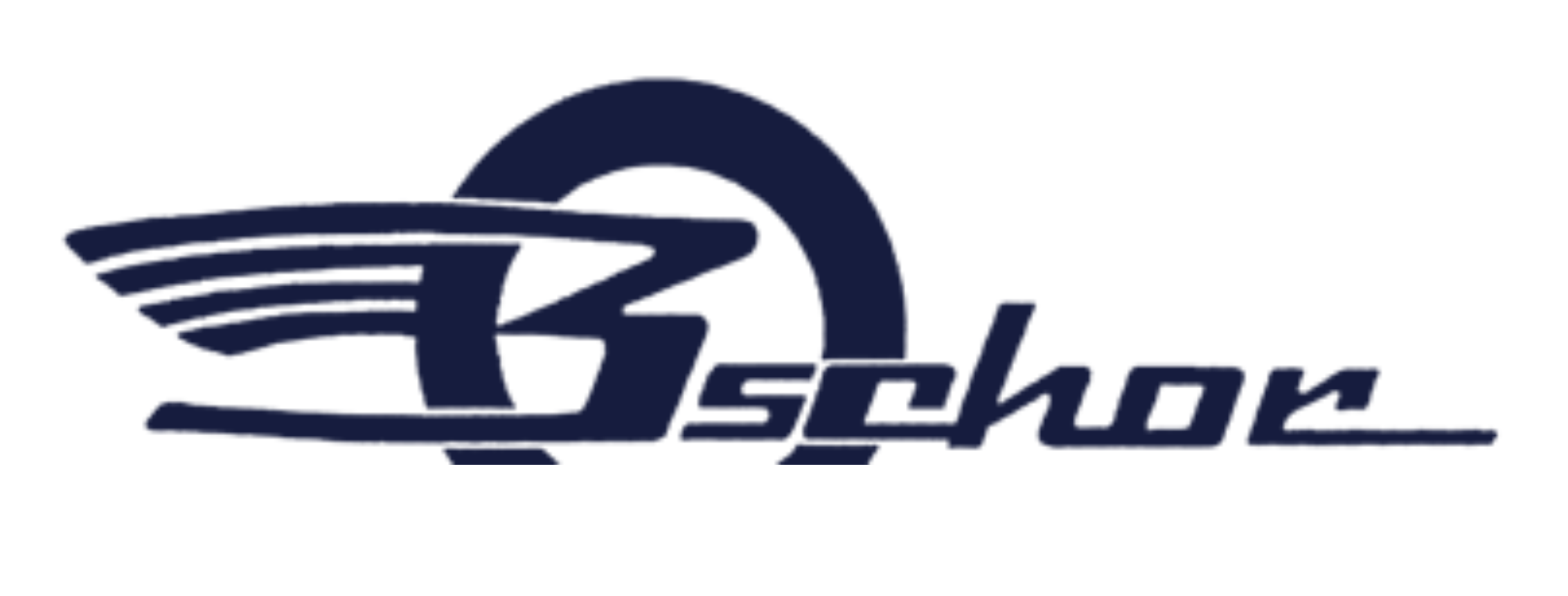 Bschor GmbH