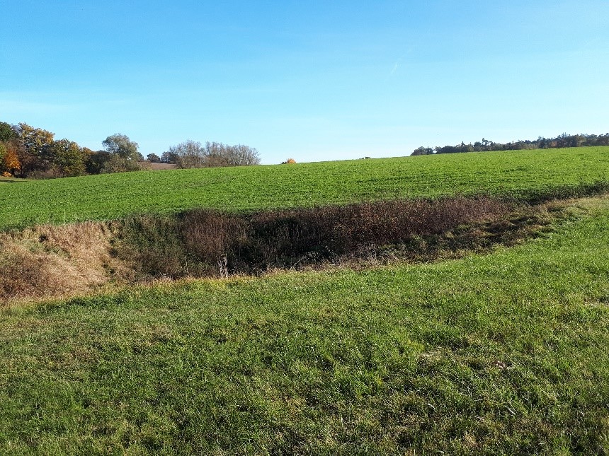 Dolinenlehrpfad Tagmersheim/Rögling