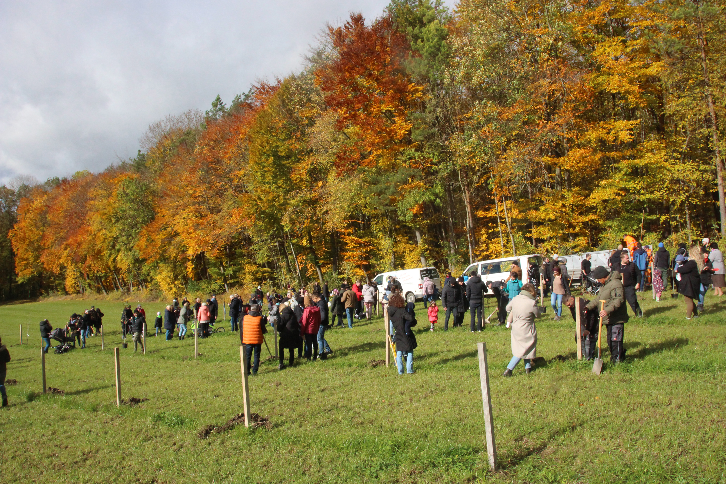 Familienwald in Wemding.