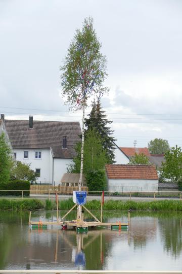 Dorfweiher Schwörsheim Maibaum