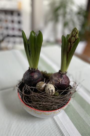 Kleiner Frühlingsgarten. 