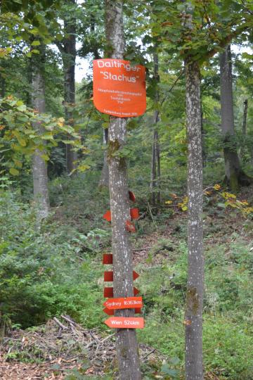 Der Daitinger Stachus. 