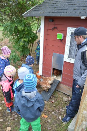 Kinder füttern Tiere