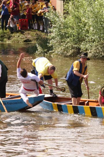 Das Bild zeigt Fischerstecher auf der Wörnitz.