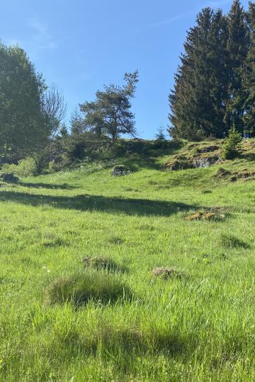 Zu sehen ist der Hunderberg.