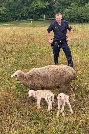 Polizeiobermeister Ahn, PI Donauwörth.