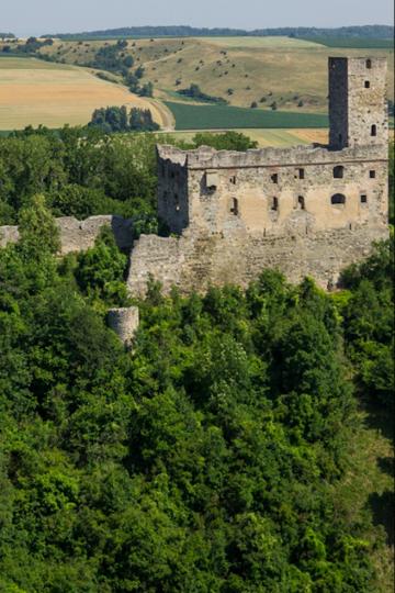 Die Ruine der Burg Niederhaus nahe Hürnheim.
