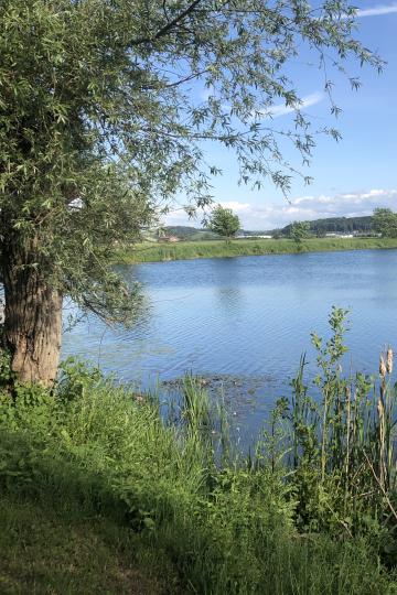 Im Landkreis Dillingen gibt es zahlreiche Baggerseen, die zu einer Rast oder einem Bad im kühlen Nass einladen.