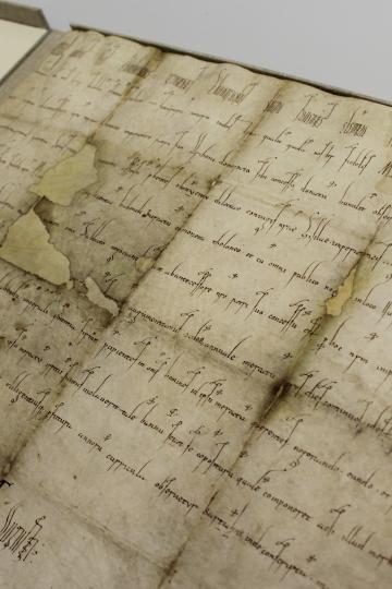 Die Kaiserurkunde aus dem Jahr 1030