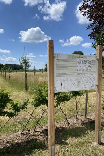Botanischer Garten Wemding: Info-Tafeln sollen die Besucher*innen über die alten und zum Teil seltenen Obstsorten aufklären.