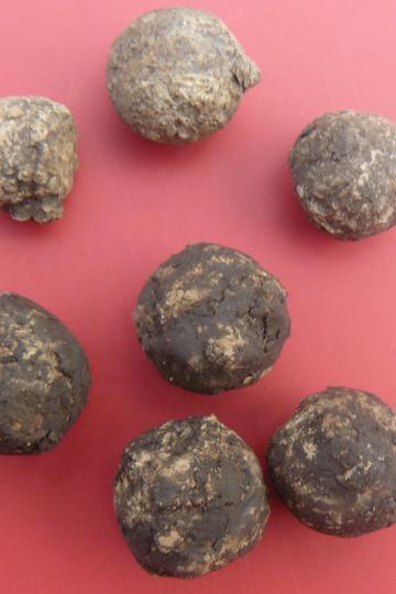 Die Bleikugeln lassen Rückschlüsse auf die Kampfhandlungen ziehen.