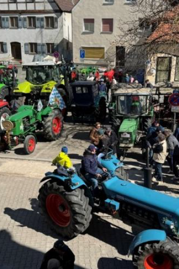 Bulldogtreffen im Schlosshof