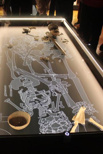 In der Vitrine wird die Fundsituation der Begräbnisstätte dargestellt.