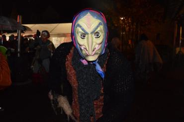 Faschingsfreunde Megesheim