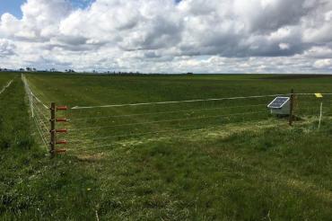 zaun-alerheim-28-04-2016_foto_j-kronberg