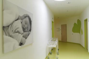 Geburten rekorde gku 2017 2