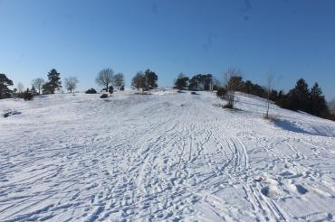 Rodeln am Harburger Bock