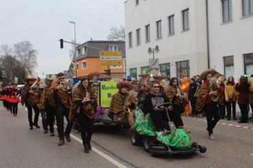 Faschingsumzug Rain 2017-1