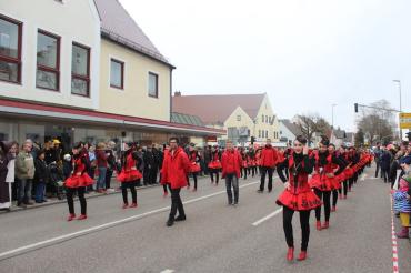 Faschingsumzug Rain 2017-3