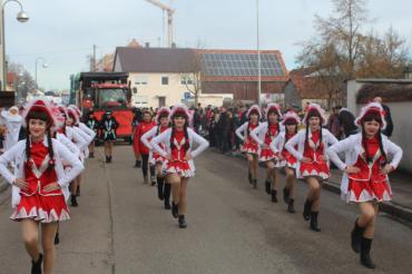 Umzug Mertingen 2017@Matthias Stark 008