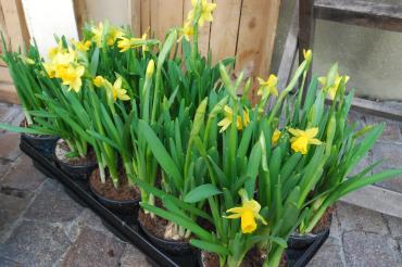 Märkte, Sport, Theater und Konzerte - Was ist los am Wochenende? 1