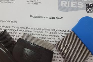 Ungebetene Gäste auf dem Kopf