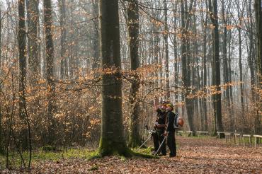 waldruh_ostalb_f2A1B1138_fotohaushirsch