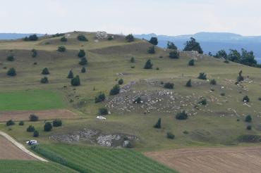 Rollenberg_mitSchafen_com Utzberg