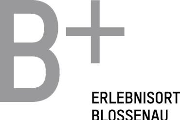 Logo_B+_RGB_310715_P