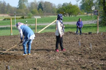 Integrationsgarten Oettingen 1