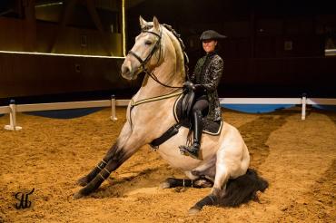 Christmas-On-Horse-Nostalgia_2017-Eventim WEB