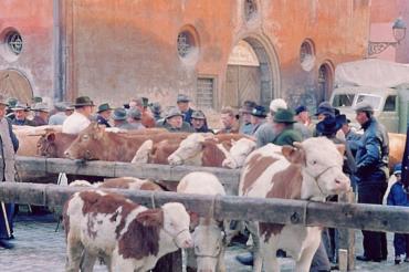 MKLR_Nördlinger Viehmarkt_Peter Hueber