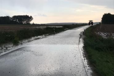 WhatsApp Image 2017-08-15 at 18.25.33