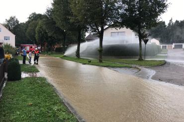 WhatsApp Image 2017-08-15 at 19.03.56