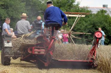 MKLR_Schnitterfest2017_Bindemäher_HaraldWodarz