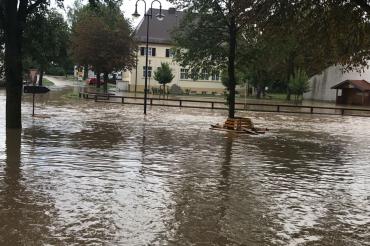 WhatsApp Image 2017-08-15 at 18.49.56