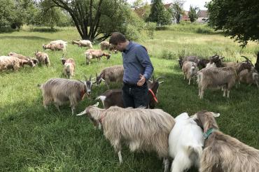 Foto 03.07.17, 13 38 06