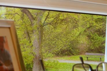 h17_Bild_Herbstsammlung_farbig