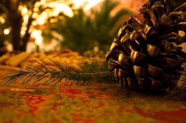 Das Bild zeigt einen Tannenzapfen. 