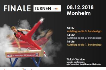 Das Bild zeigt einen Flyer für das Finale der Deutschen Turnliga.