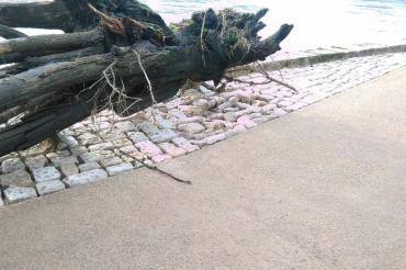 26782391_157949464827722_1389984744_o