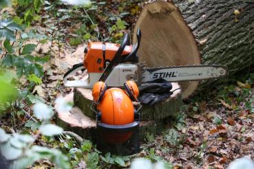 brennholz_selber_machen (002)